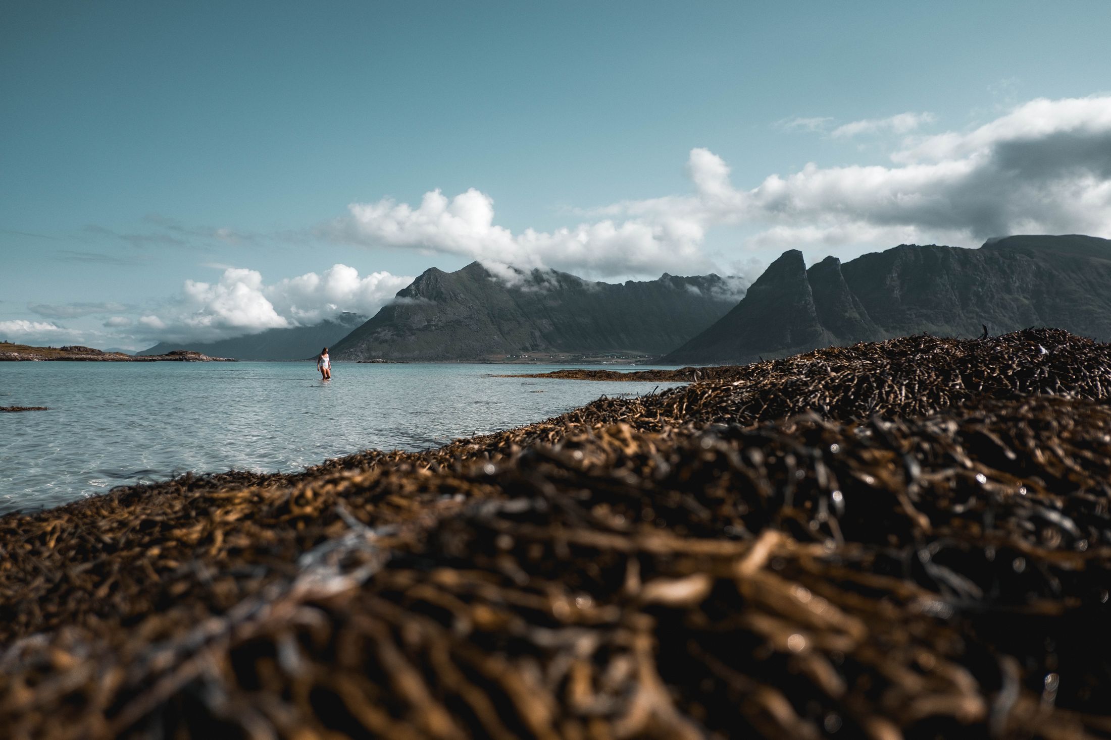 FIELD RECORD 06 — Norwegian coast · 2025